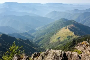 AdobeStock_67672065-640x640